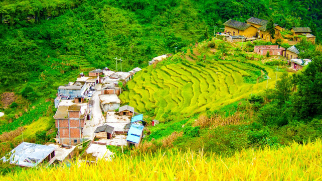 梯田 山村