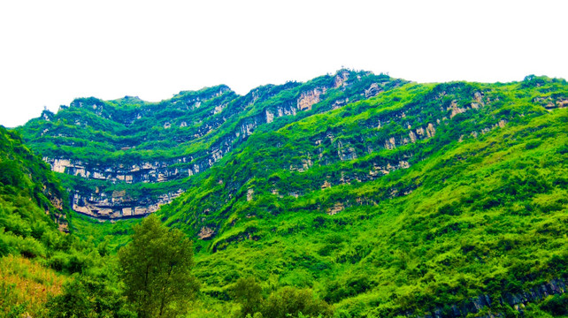 青山 高耸 大山