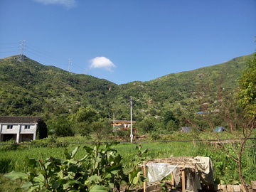 山野风格