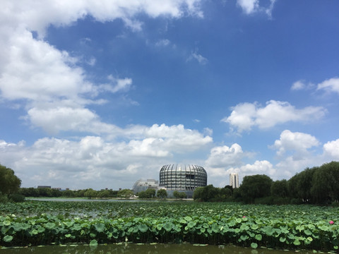 大学校园景色