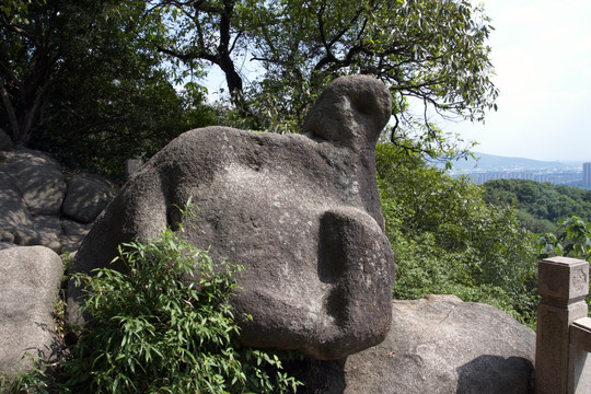 乌龟 百石龟 苏州灵岩山