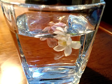 茉莉茶