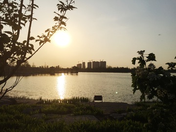 夕阳下