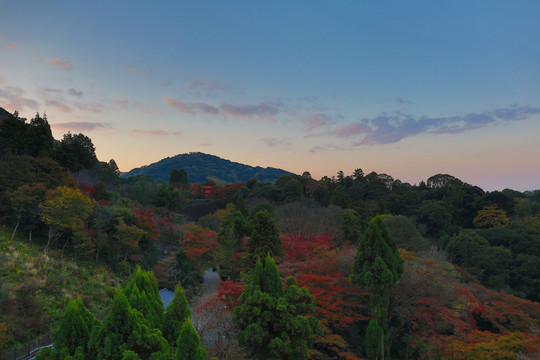 日本 京都 清水寺