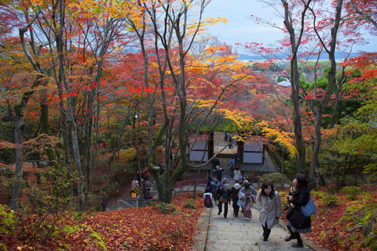 日本京都常寂光寺