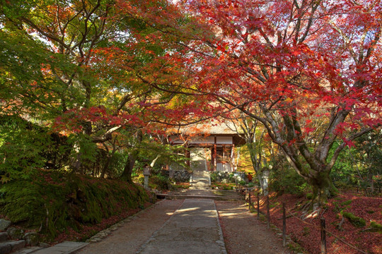 日本京都常寂光寺