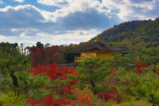 日本 京都 金阁寺