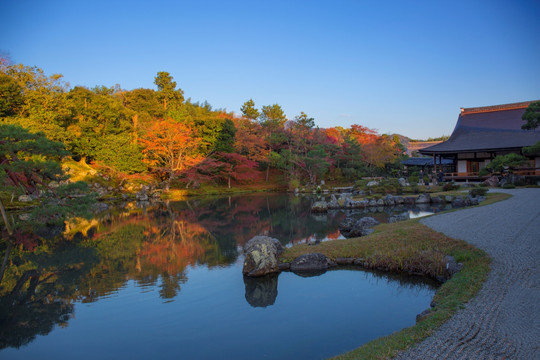 京都 岚山 天龙寺