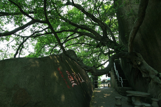 厦门鼓浪屿风光