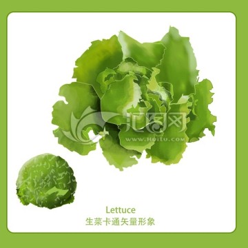 生菜 插图 手绘蔬菜 绿色蔬菜