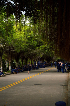 大学军训照片之树荫下休息的学生