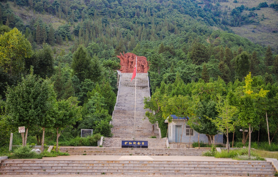 植物 梨园 阳光 风景