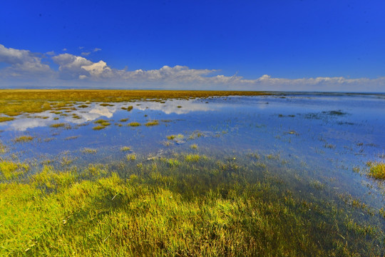 仙女湾风景