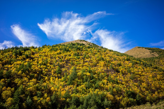 小五台山