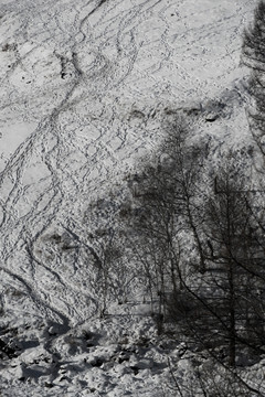 雪乡 村庄 雪 冬天 寒冷 林