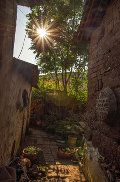 小镇 古城 植物 夕阳