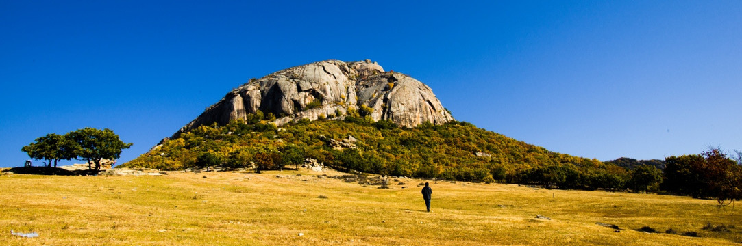 神山 白桦树 树林 秋景 秋