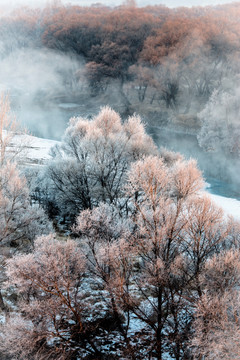 雾凇 雪景 冬天 自然奇观 树