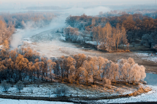 雾凇 雪景 冬天 自然奇观 树