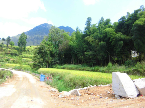 沙坭路