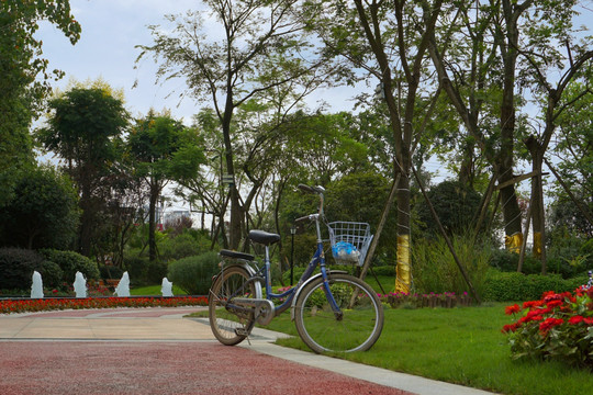 彩色健身步行道和自行车
