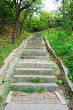 登山道