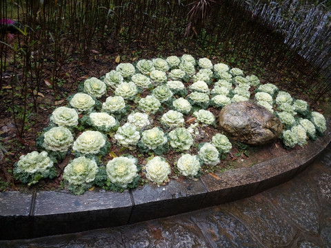 花