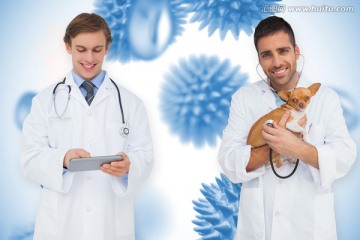 医生和兽医用听诊器的复合形象