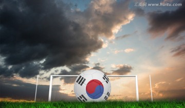 草地上的韩国足球与球门