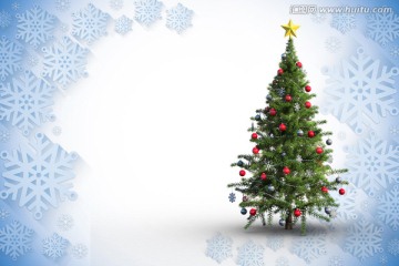 白色背景下的圣诞树