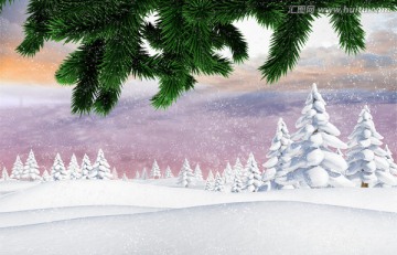 雪景下的冷杉树