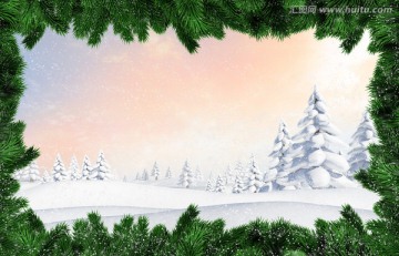 雪景下的冷杉树