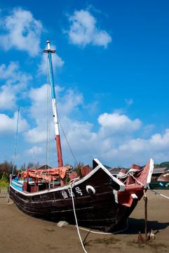 船 观赏船 渔船 轮船