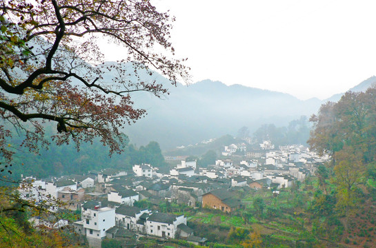 婺源山村