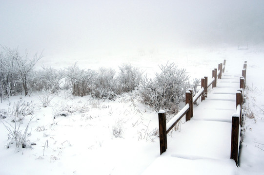 雪景