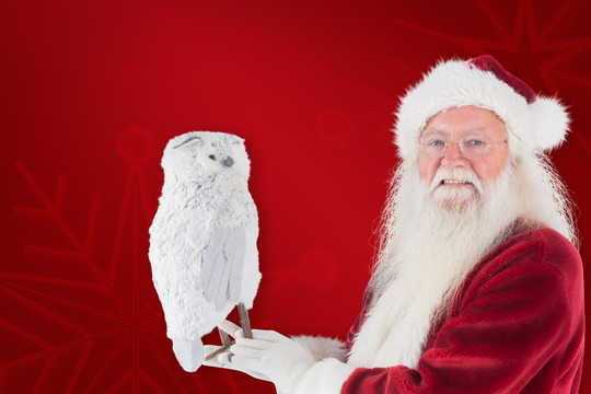 圣诞老人拿猫头鹰模型的复合形象