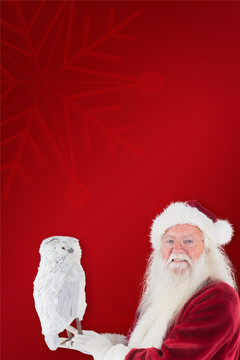 圣诞老人拿猫头鹰模型的复合形象