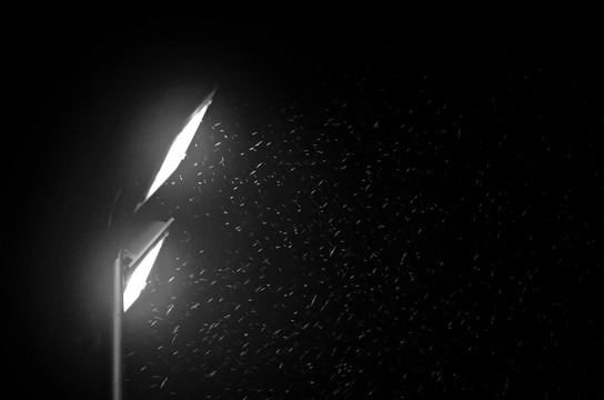 雨中的黑白路灯