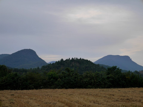 山里农田