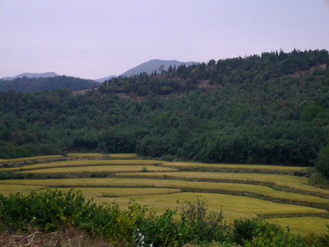 山区农田