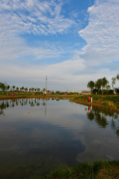 阳谷森泉湿地公园