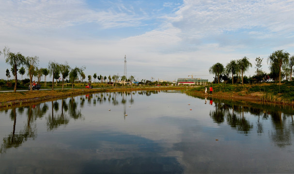 阳谷森泉湿地公园