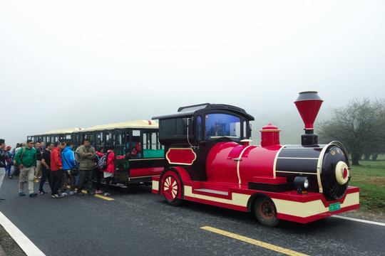 仙女山旅游观光小火车