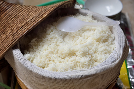 木蒸子米饭