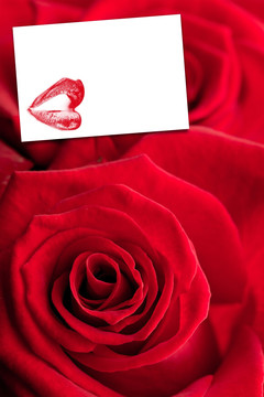 红玫瑰和卡上的红唇印