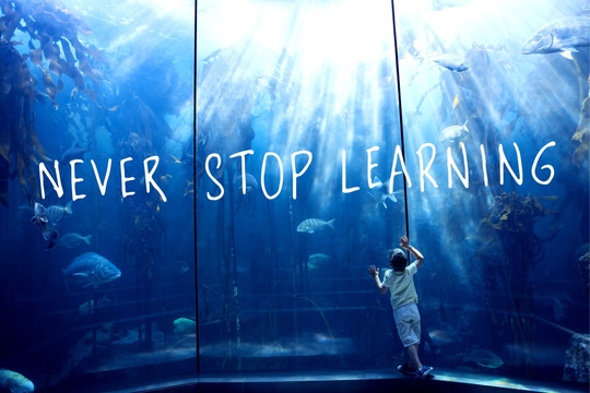 男孩看着水族馆的海洋生物