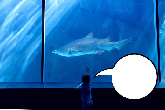 女孩看着水族馆的海洋生物