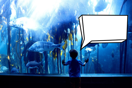 看着水族馆里的鱼的男孩