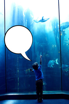 指着水族馆里的鱼的男孩