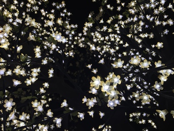 夜晚小花造型灯炫丽灯光背景